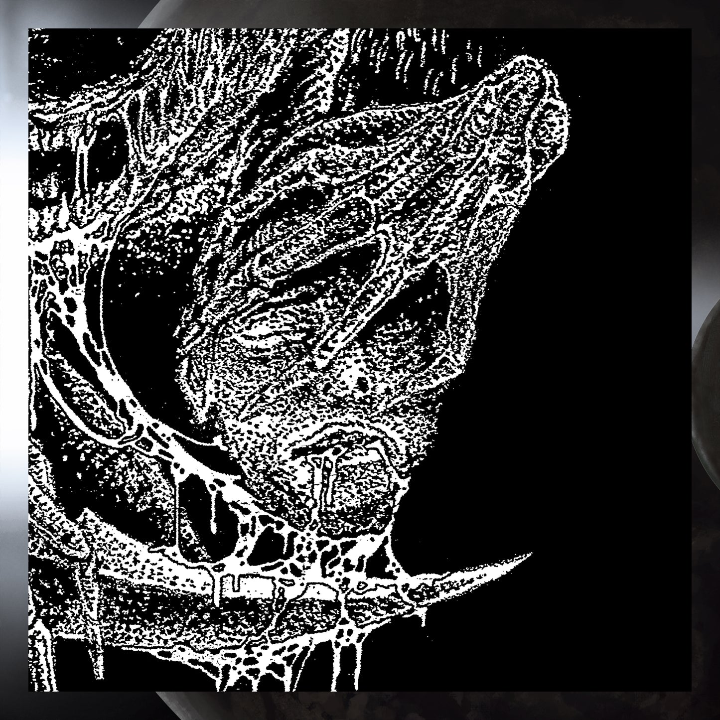 "XENOMORPH" SHIRT